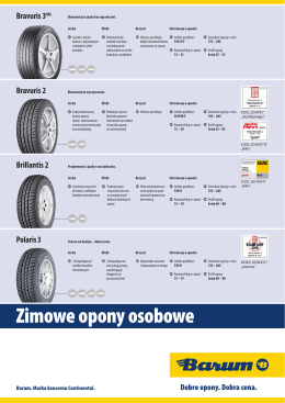 Zimowe opony osobowe