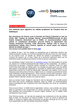 Information presse Une molécule pour régénérer les