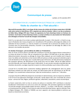 RTE CP Visite chantier Filet Sécurité 30nov2016