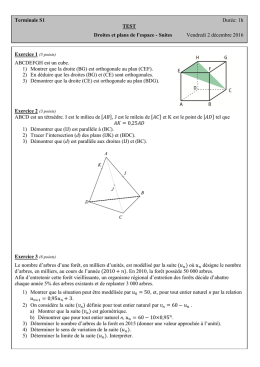 Terminale S1 Durée: 1h TEST Droites et plans de l`espace