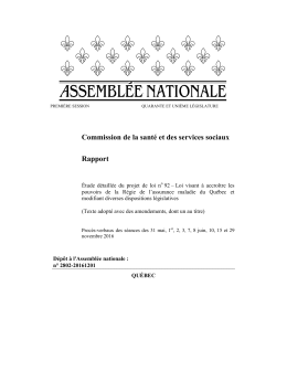 Commission de la sant&eacute; et des services sociaux Rapport
