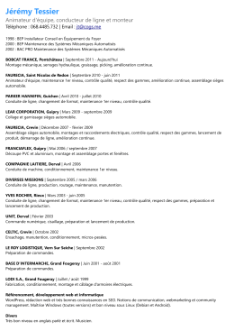 T&eacute;l&eacute;charger le CV au format PDF