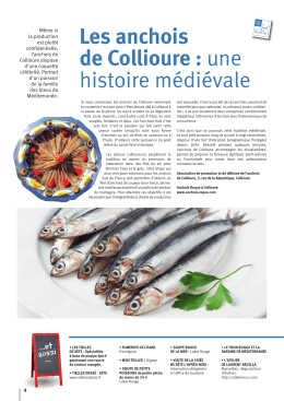 Les anchois de Collioure : une histoire médiévale