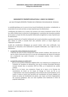Gouache_r&eacute;sum&eacute; Biodiversit&eacute; et Propri&eacute;t&eacute; intellectuelle