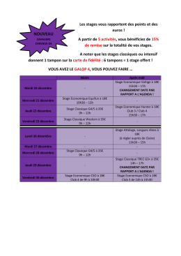 galop 4 - Equitation Passion