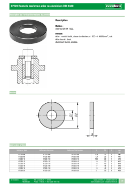 07320 Rondelle renforc&eacute;e acier ou aluminium DIN 6340