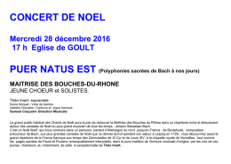 T&eacute;l&eacute;chargement au format PDF