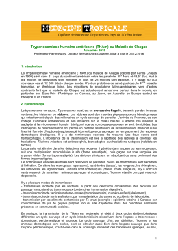 Trypanosomiase humaine am&eacute;ricaine (THAm) ou Maladie de Chagas