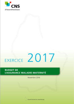 budget annuel 2017