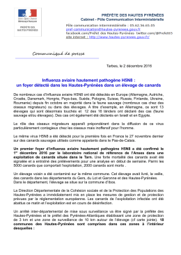 Communiqu&eacute; de presse Influenza aviaire hautement - Tarbes