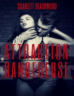 Attraction dangereuse (French Edition)