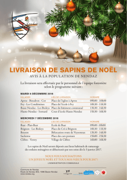 livraison de sapins de noël
