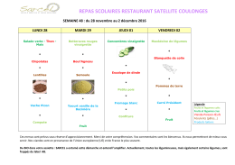 repas scolaires restaurant satellite coulonges - Coulonges-sur