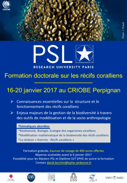 psl-course