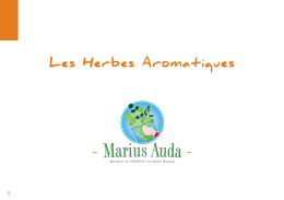 Les Herbes Aromatiques