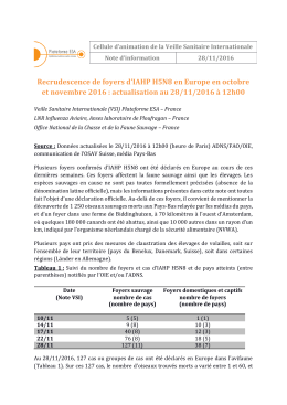 Document de travail VSI