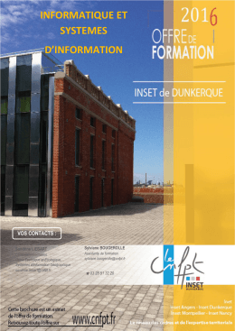 informatique et systemes d`information
