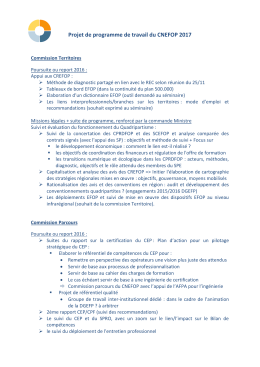 Projet de programme de travail du CNEFOP 2017