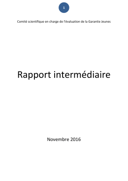 Rapport intermédiaire - Ministère du Travail, de l`Emploi, de la