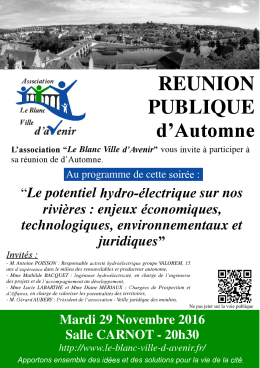 reunion publique - Le-Blanc-ville-d