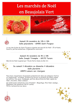 March&eacute;s de Noel en Beaujolais Vert PDF