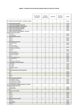 annexe : synthese evaluation des risques dans les unites de travail