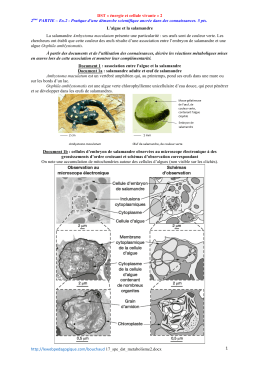 http://lewebpedagogique.com/bouchaud 17_spe_dst_metabolisme2