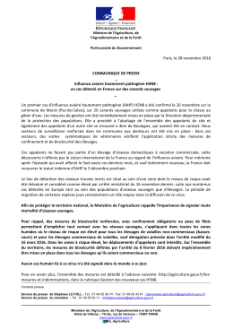 un cas d&eacute;tect&eacute; en France sur des canards