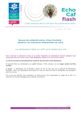 Revenu de solidarité active, Prime d`activité