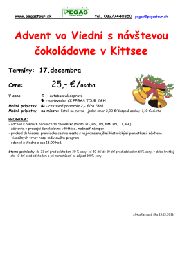 Advent vo Viedni s návštevou čokoládovne