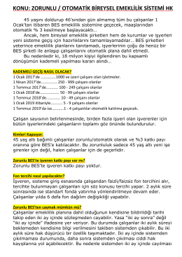 bireysel emeklilik hakkında