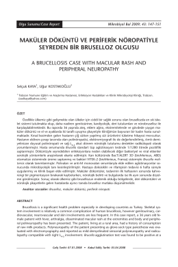 A brucellosis case with macular rash and peripheral neuropathy