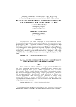 determining the priorities of criteria in assessing the bankruptcy risk
