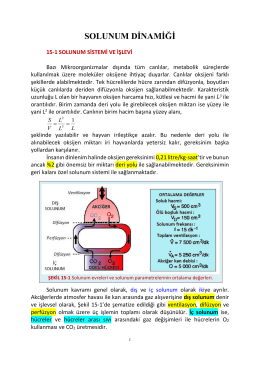 SOLUNUM DİNAMİĞİ