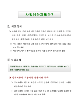 사업예산제도란?