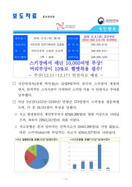 안전사고 - 국민안전처