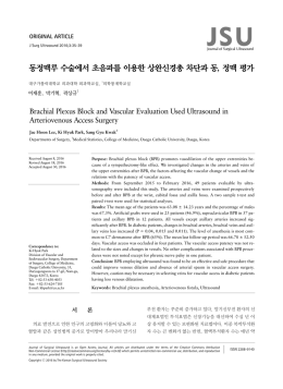 동정맥루 수술에서 초음파를 이용한 상완신경총 차단과 동, 정맥 평가