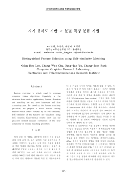 자기 유사도 기반 고 분별 특징 분류 기법