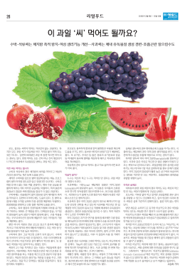 이 과일 씨 먹어도 될까요?