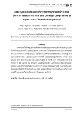 this PDF file - มหาวิทยาลัยราชภัฏยะลา