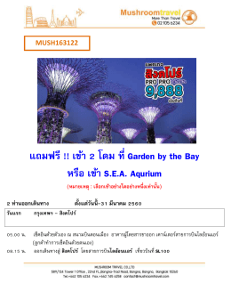 แถมฟรี !! เข้า 2 โดม ที่Garden by the Bay หรือ เข้า