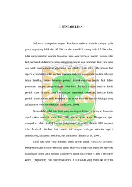 I. PENDAHULUAN Indonesia merupakan negara kepulauan