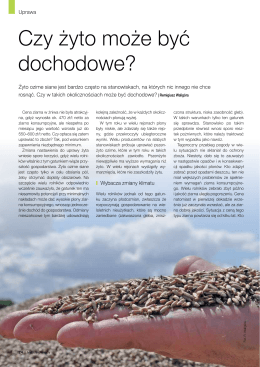 Czy żyto może być dochodowe?