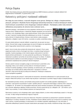 Generuj PDF - Policja Śląska