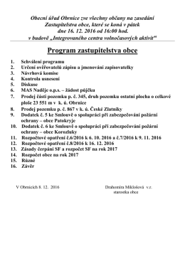 Program zastupitelstva obce