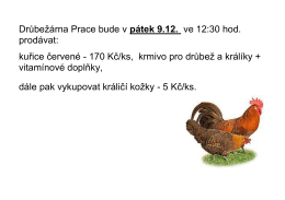 Drůbežárna Prace bude v pátek 9.12. ve 12:30 hod. prodávat: kuřice