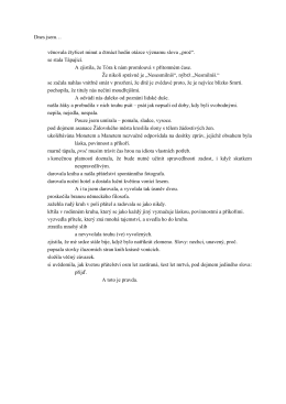 věnovala čtyřicet minut a čtrnáct hodin otázce významu slova „proč“.