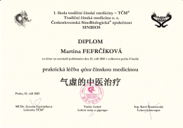 Certifikát - TČM - Praktická léčba nedostatku energie