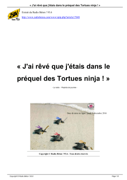 J`ai rêvé que j`étais dans le préquel des Tortues ninja