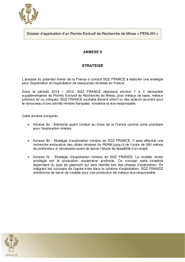 ANNEXE 9 STRATEGIE - Portail de l`économie et des finances